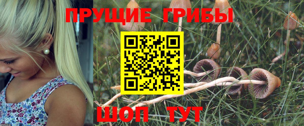 Галлюциногенные грибы ЛСД Карасук