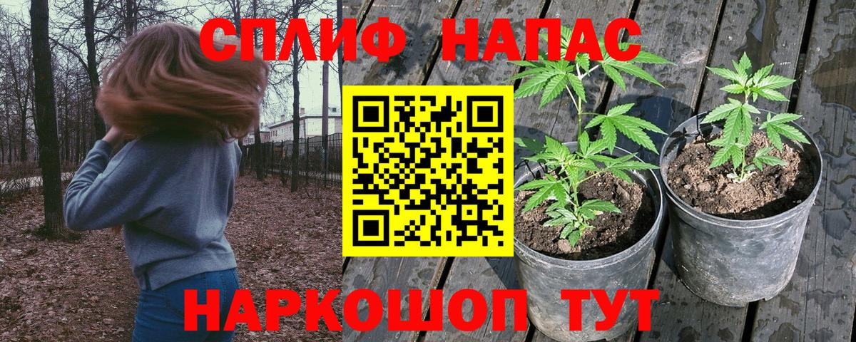 Alpha-PVP СОЛЬ   МЕТАМФЕТАМИН  LSD-25  Где купить  Карасук  Вход с VPN  Марихуана  МАРИХУАНА  Меф   КОКАИН  ГАШ 